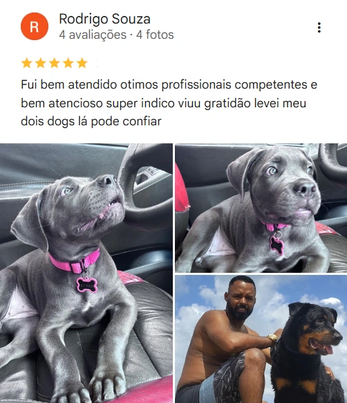 Avaliação real de tutor no Google