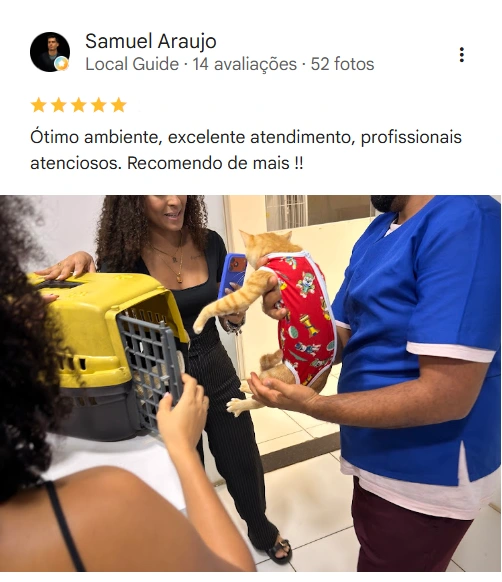 Avaliação real de tutor no Google