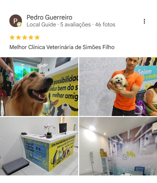 Avaliação real de tutor no Google