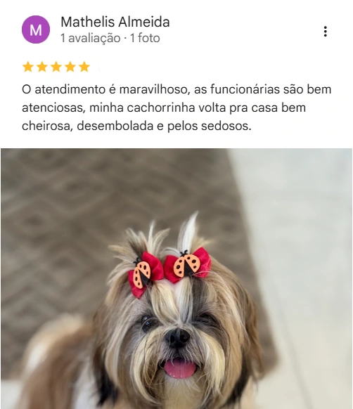 Avaliação real de tutor no Google