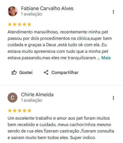 Avaliação real de tutor no Google